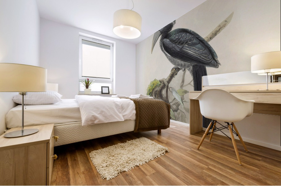 Tockus hartlaubi 1882 Mural print