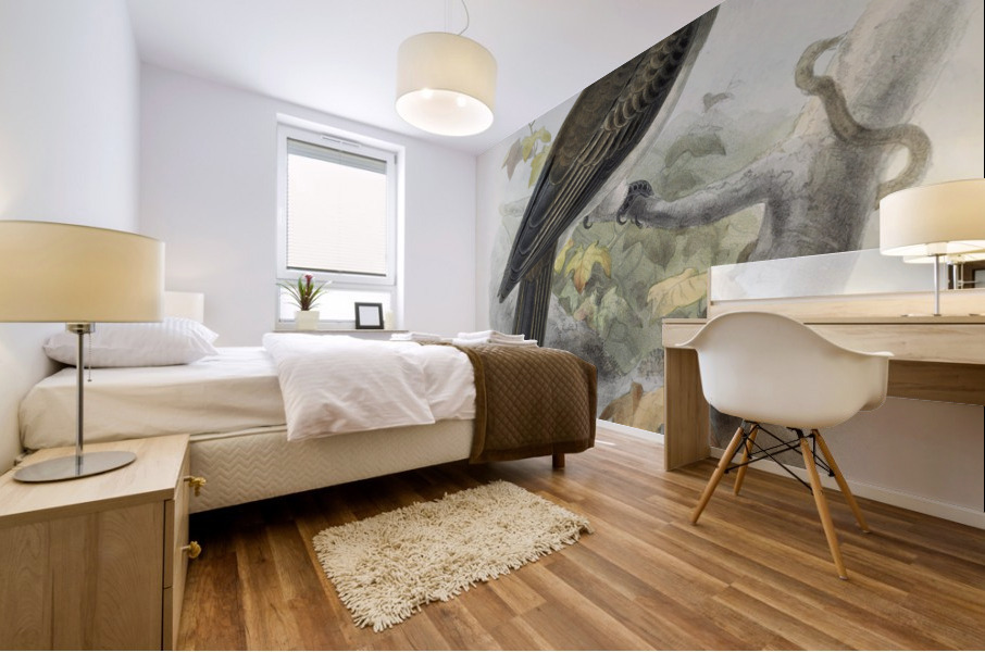 Tockus melanoleucus 1882 Mural print