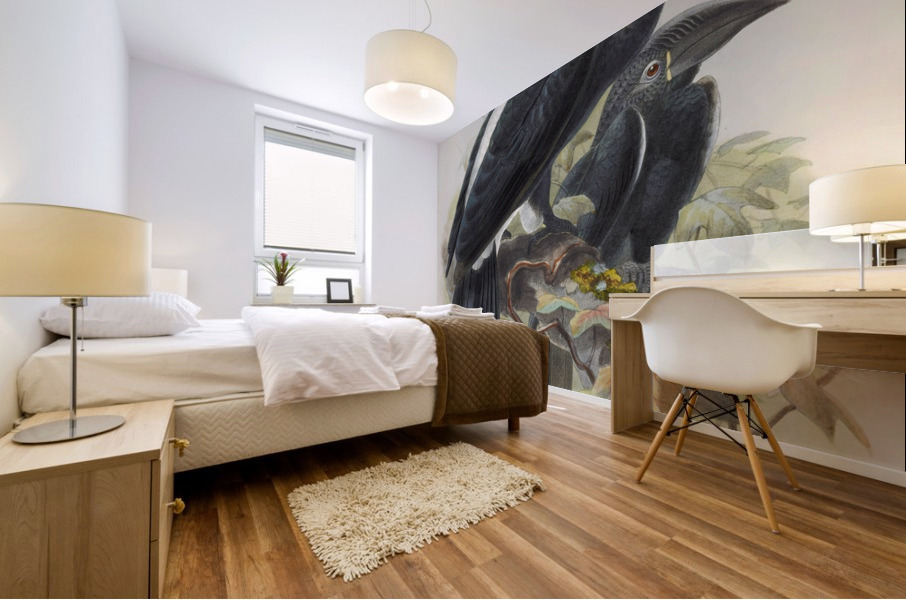 Bycanistes cristatus 1882 Mural print