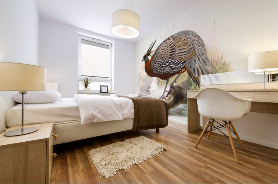 Purcasia Duvauceli. 1872 Mural print