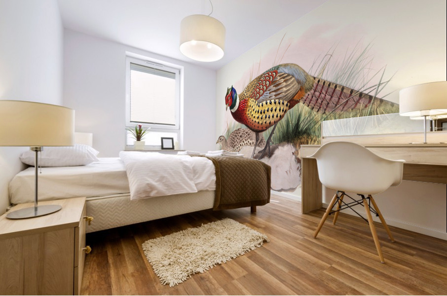 Phasianus torquatus. 1872 Mural print