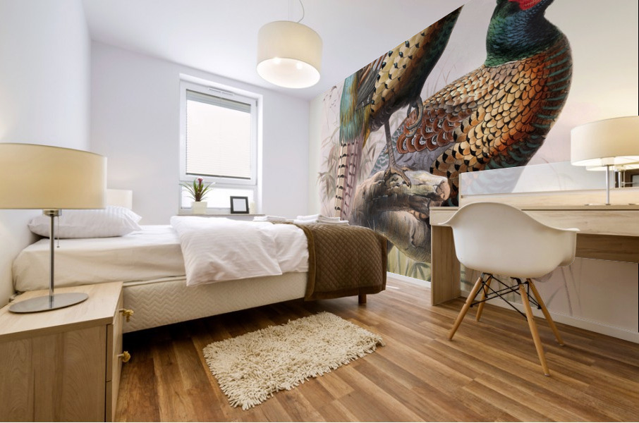 Phasianus Deccollatus 1872 Mural print