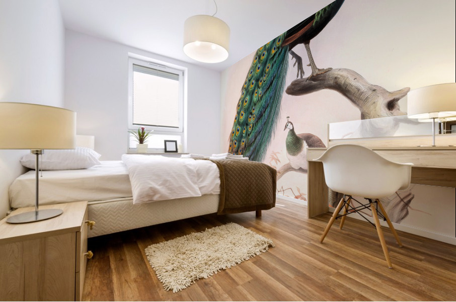 Pavo cristatus. 1872 Mural print