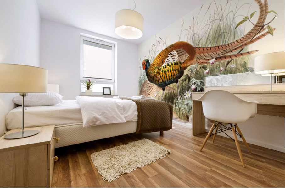 Phasianus insignis. 1872 Mural print