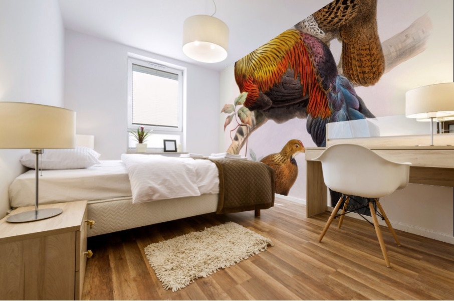 Gallus La-Fayettei. 1872 Mural print