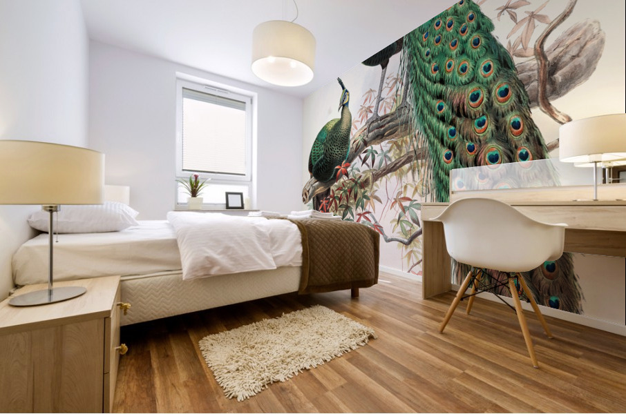 Pavo muticus. 1872 Mural print