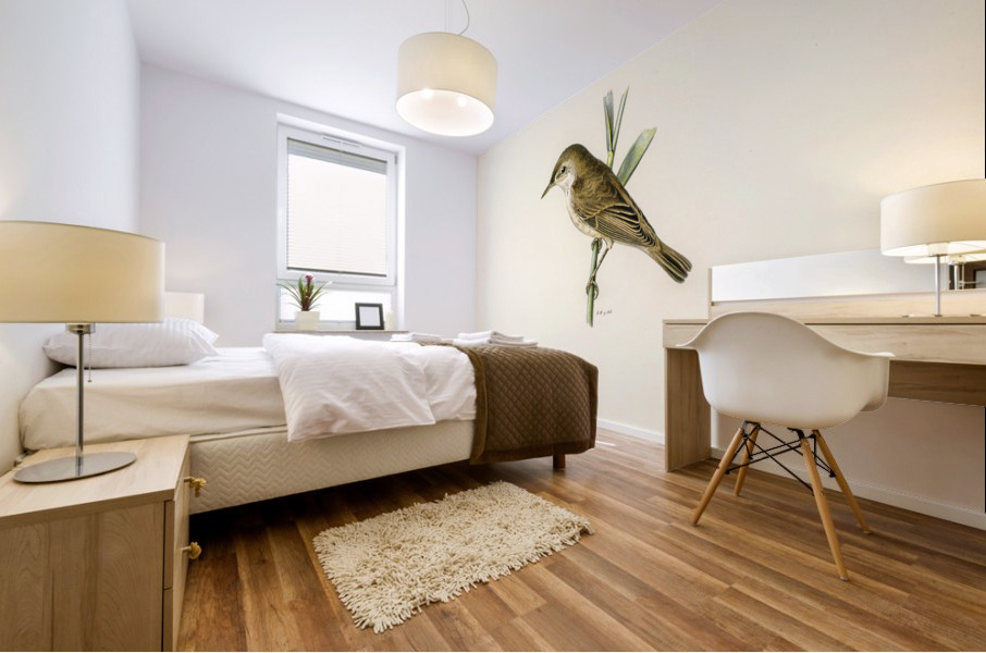 Red warbler Acrocephalus streperus Mural print