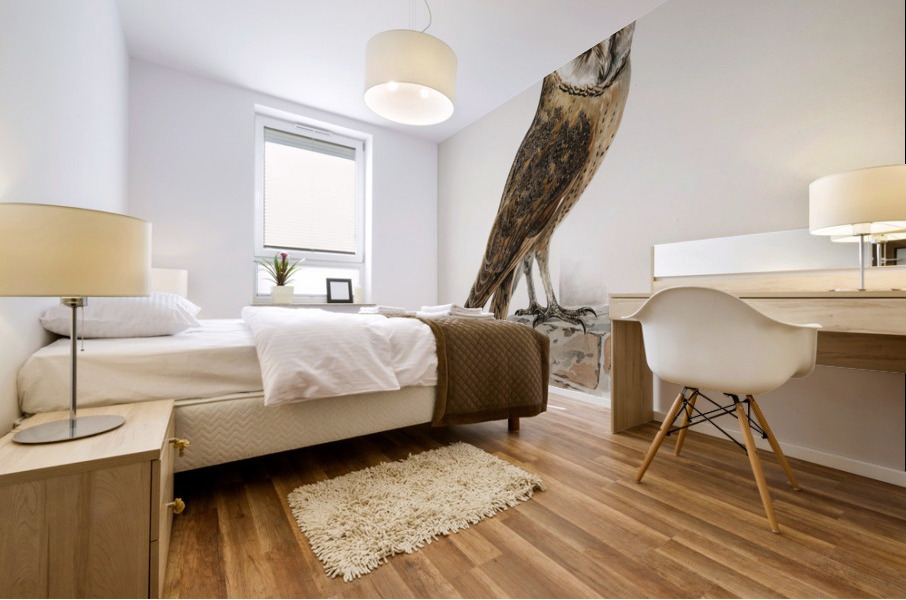 Tyto alba guttata owl Mural print