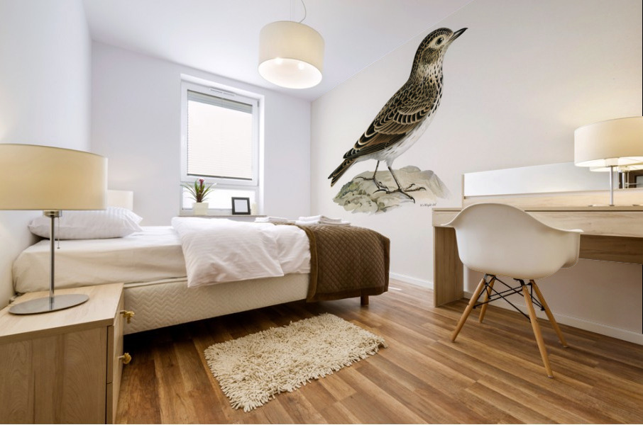 Eurasian skylark Alauda arvensis Mural print