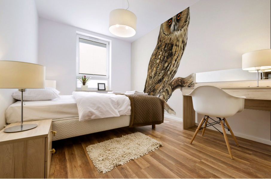 Asio otus owl Mural print