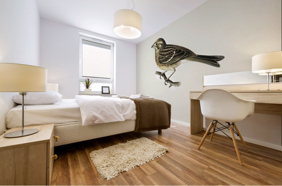 Yellowhammer Emberiza citrinella Mural print