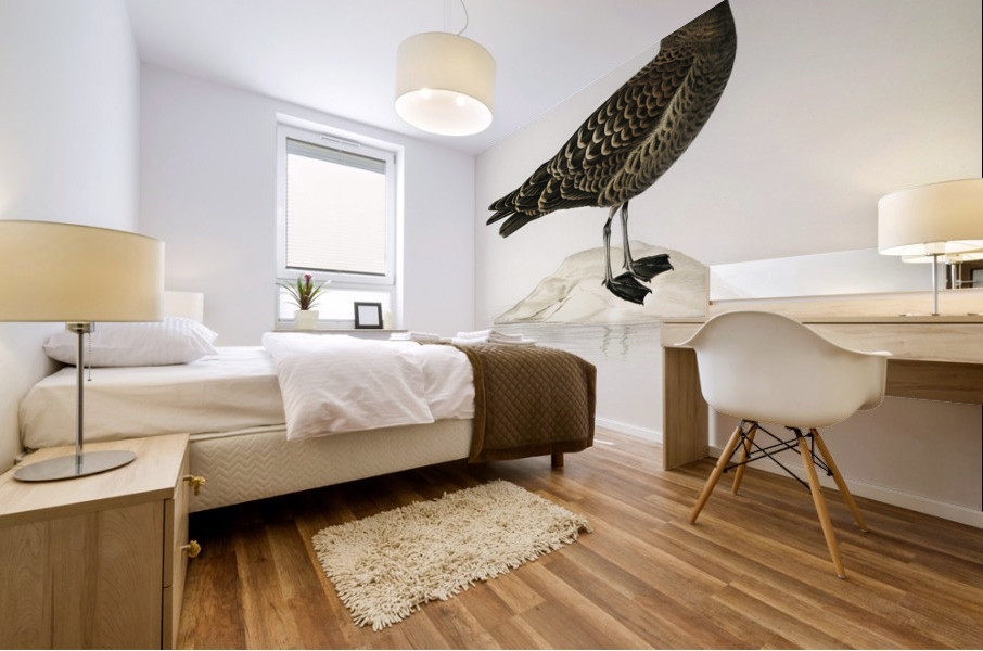 Parasitic jaeger Stercorarius parasiticus Mural print