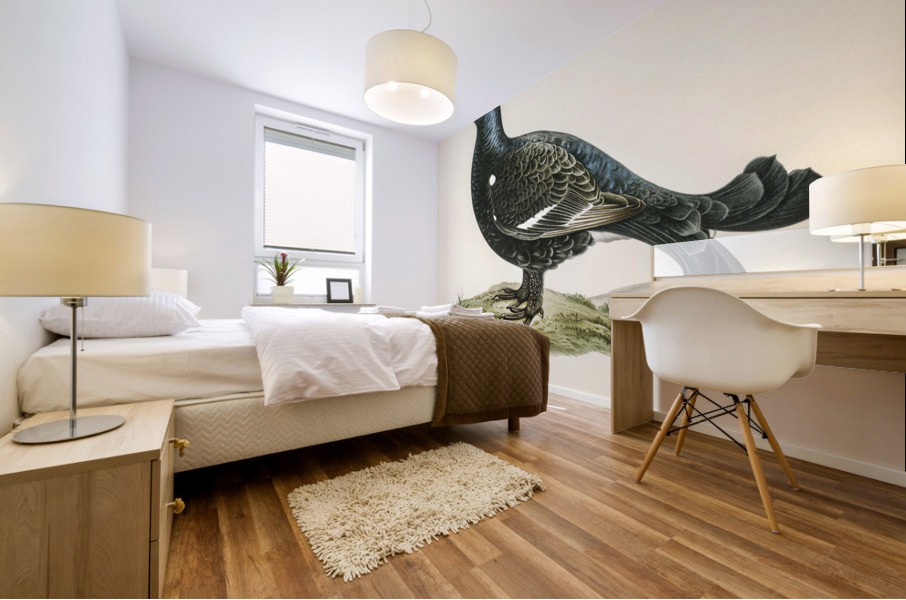 Black grouse Lyrurus tetrix Mural print