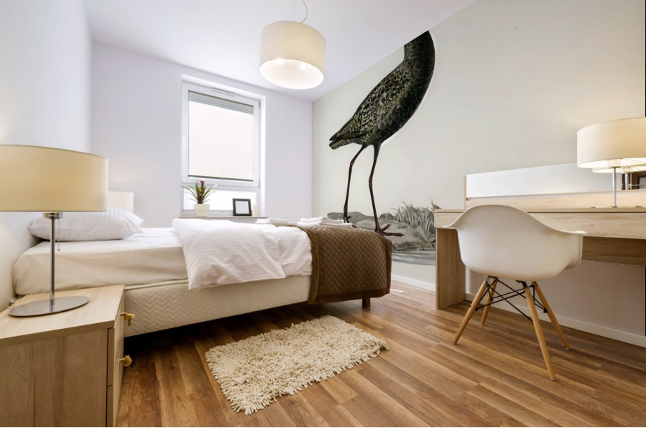 Spotted redshank Totanus erythropus Mural print