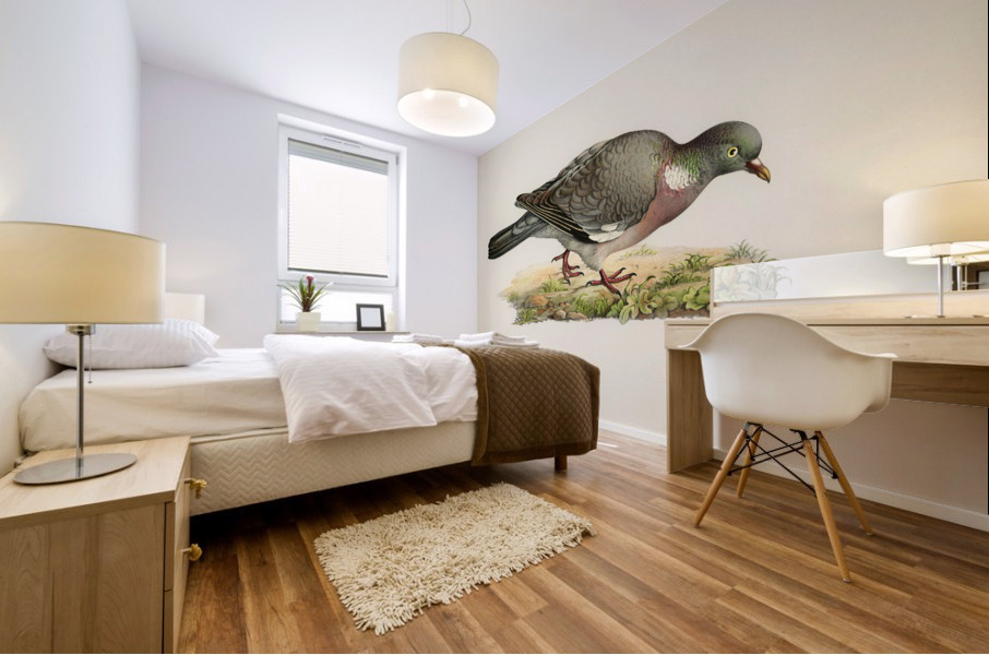 Little gull Larus minutus Mural print