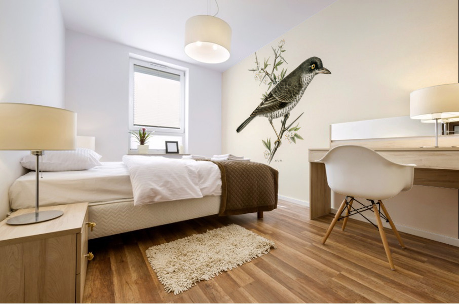 Barred warbler ♂ Sylvia nisoria Mural print