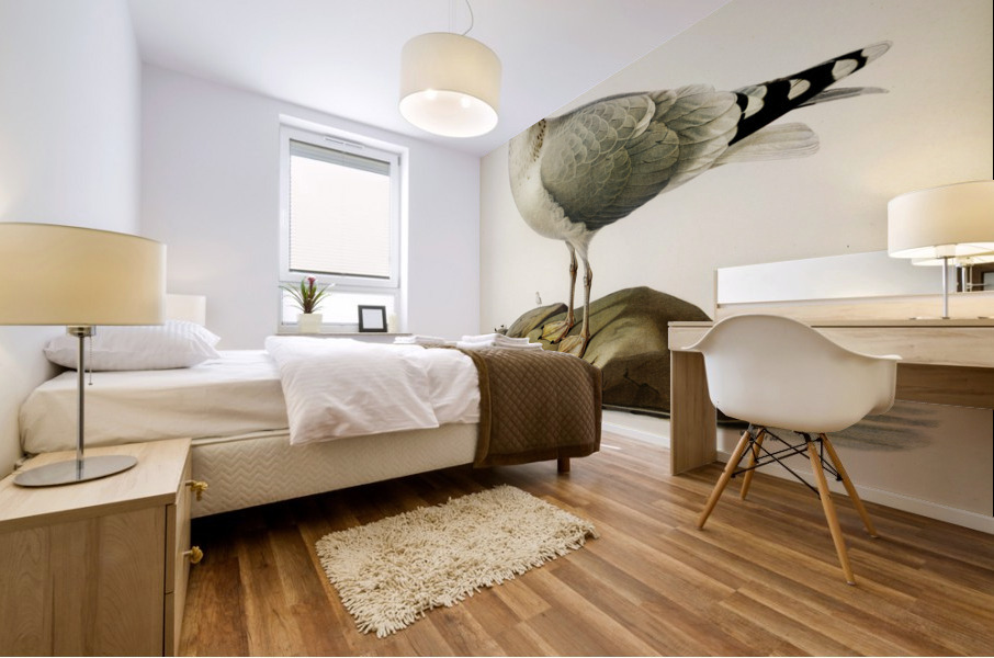 European herring gull Larus argentatus Mural print