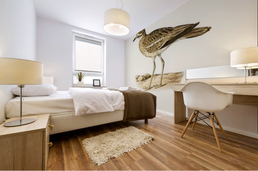 Eurasian stone curlew burhinus oedicnemus Mural print