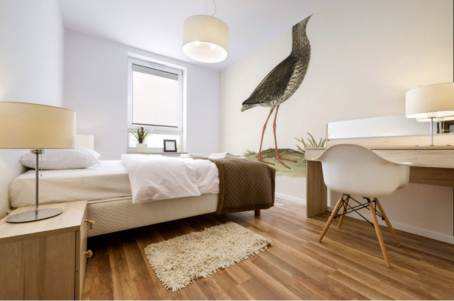 Common redshank Totanus totanus Mural print