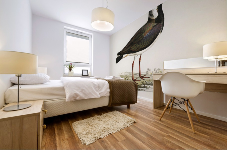 Northern labwing Vanellus vanellus Mural print