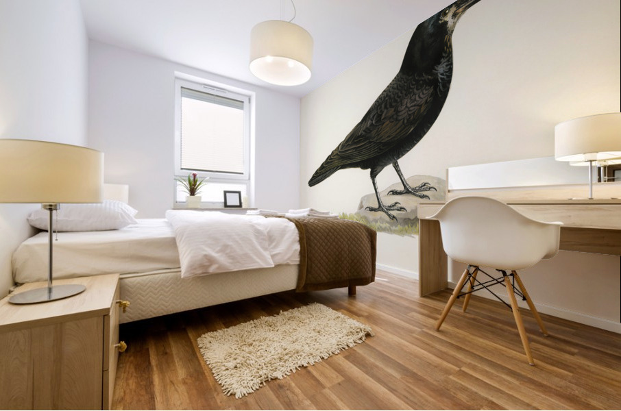 Rook Corvus Frugilegus Mural print