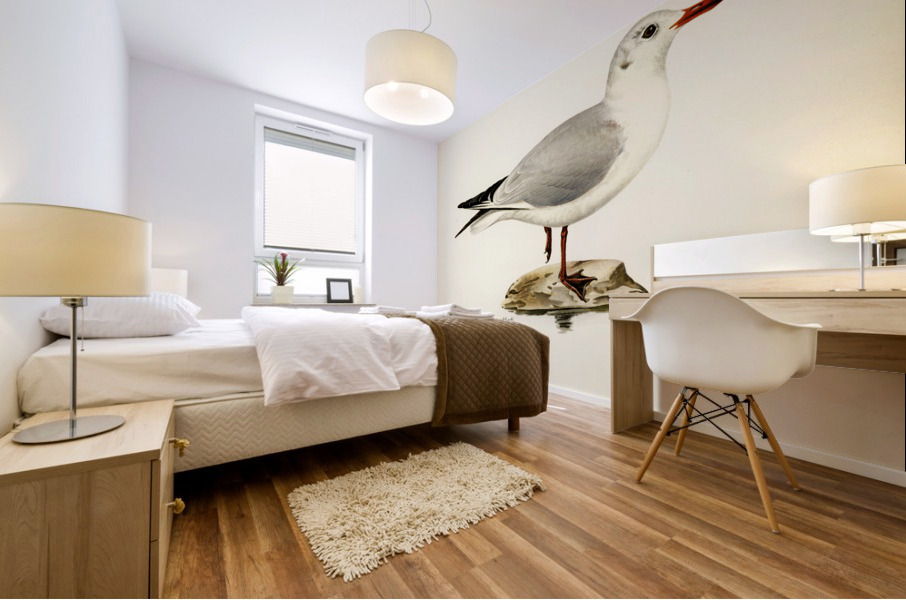 Black-headed gull Larus Ridibundus Mural print