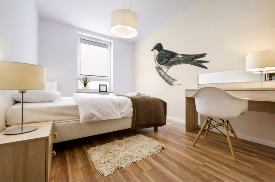 Hybrid between common house-martin and barn swallow Chelidon rustica L.xHirundo urbica Mural print