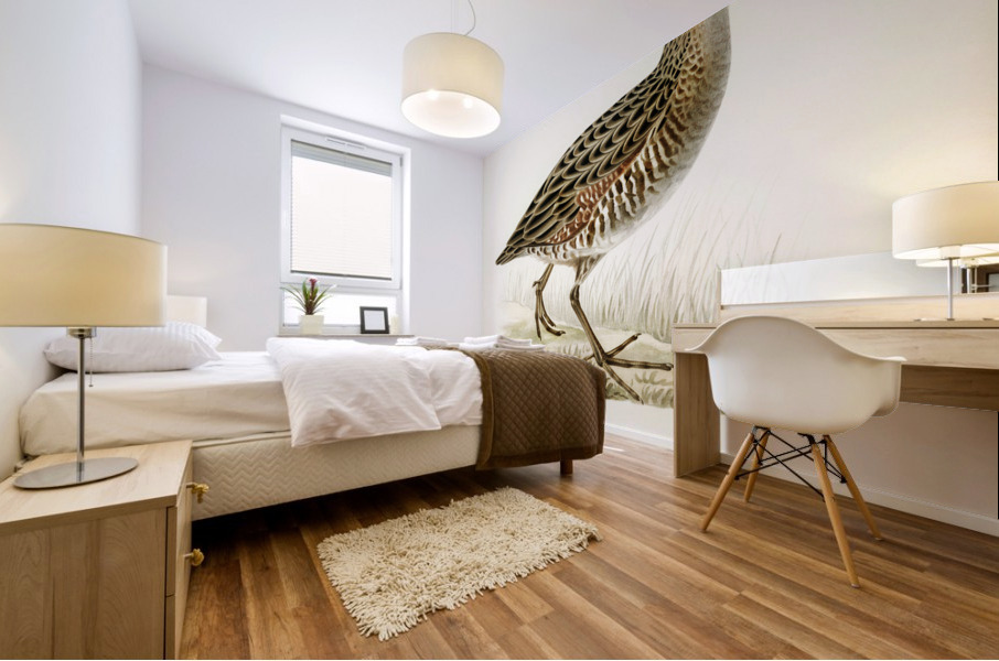 Common Buzzard BUTEO BUTEO Mural print