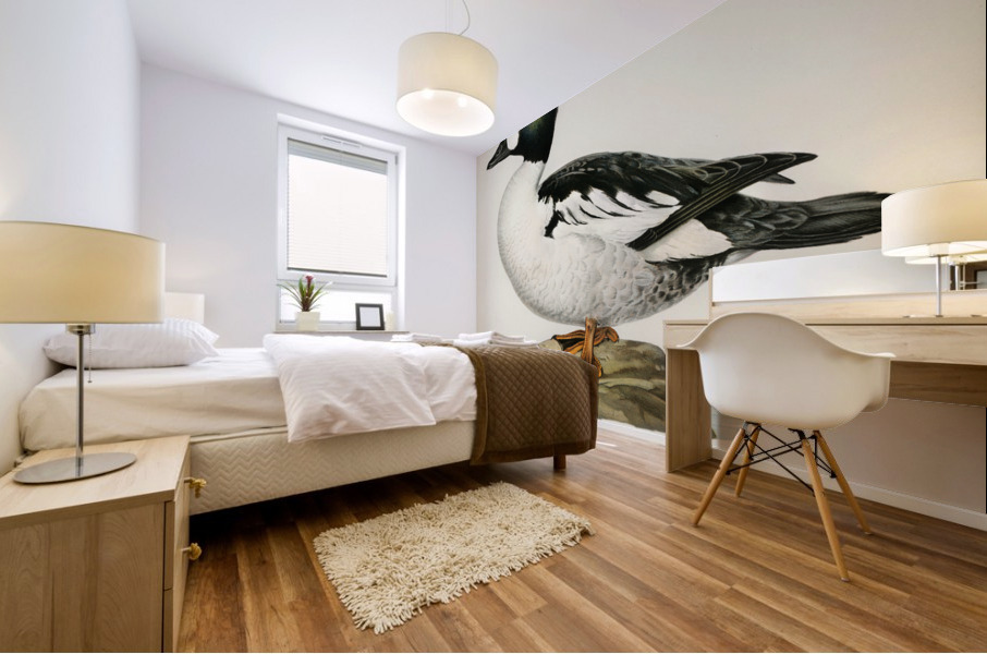 Lesser blak-backed gull Larus fuscus Mural print