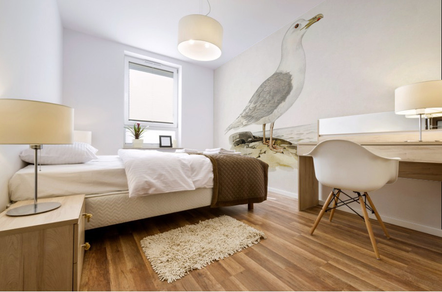 LARUS LEUCOPTERUS Mural print