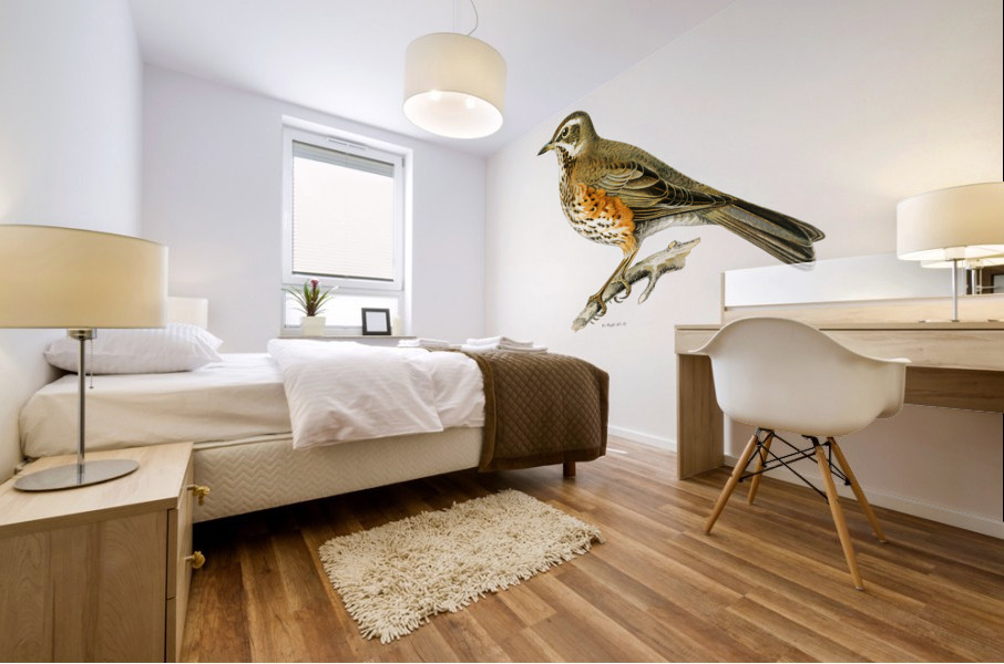 Redwing Turdus iliacus Mural print