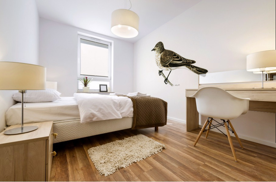 Spotted flycatcher Muscicapa ficedula Mural print