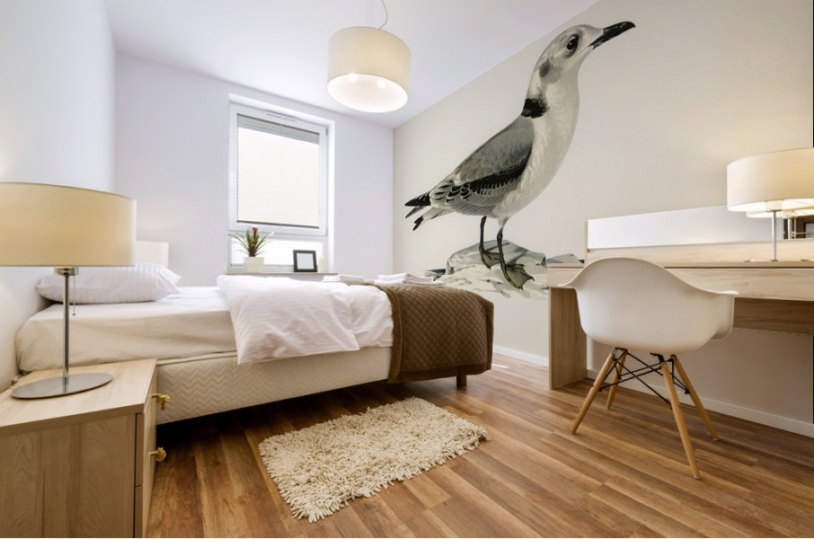 Black-legged kittiwake Rissa Tridactyla Mural print