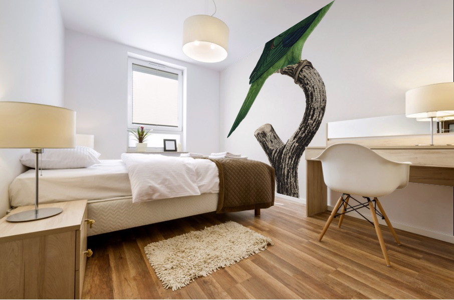 Grey-cheeked parakeet  Mural print