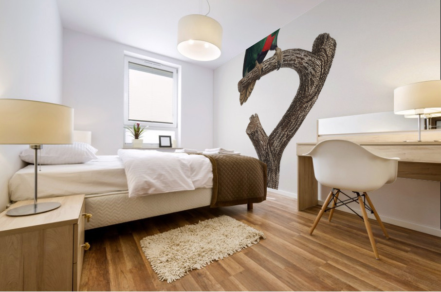 Blue-crowned lorikeet  Mural print