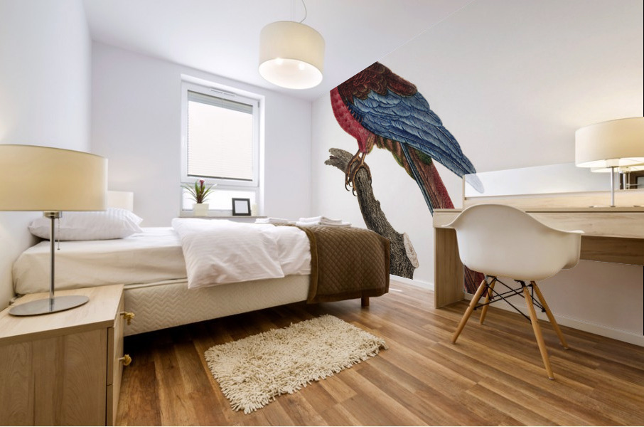 Cuban red macaw  Mural print