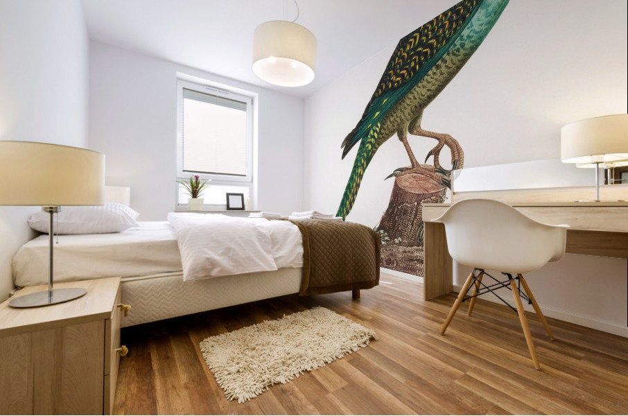 Ingambe parakeet  Mural print