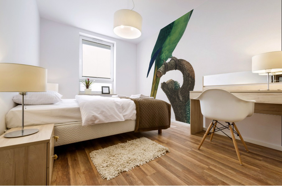 Red-fronted parakeet  Mural print