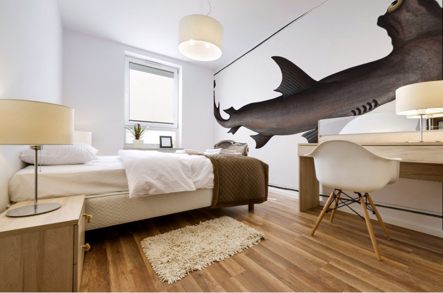 Balance Fish Squalus Zygaena Mural print