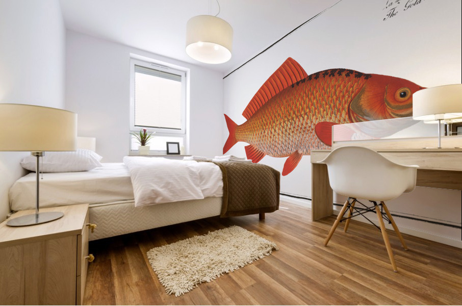 Gold-Fish Cyprinus Auratus Mural print