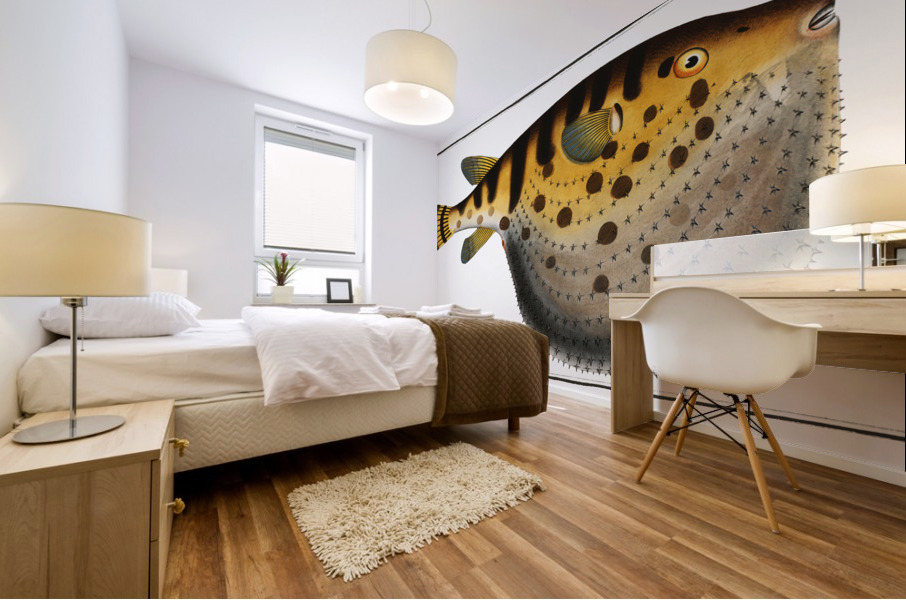 Starry Globe-fish Tetrodon Lagocephalus Mural print