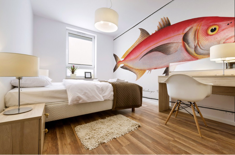 Red Mackrel Scomber ruber Mural print