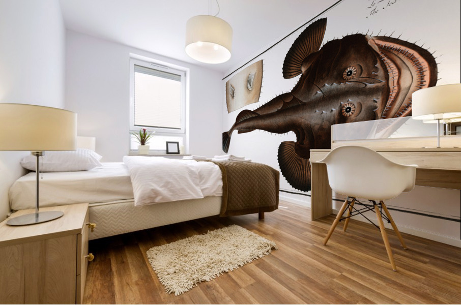 Sea Devil Lophius Piscatorius Mural print