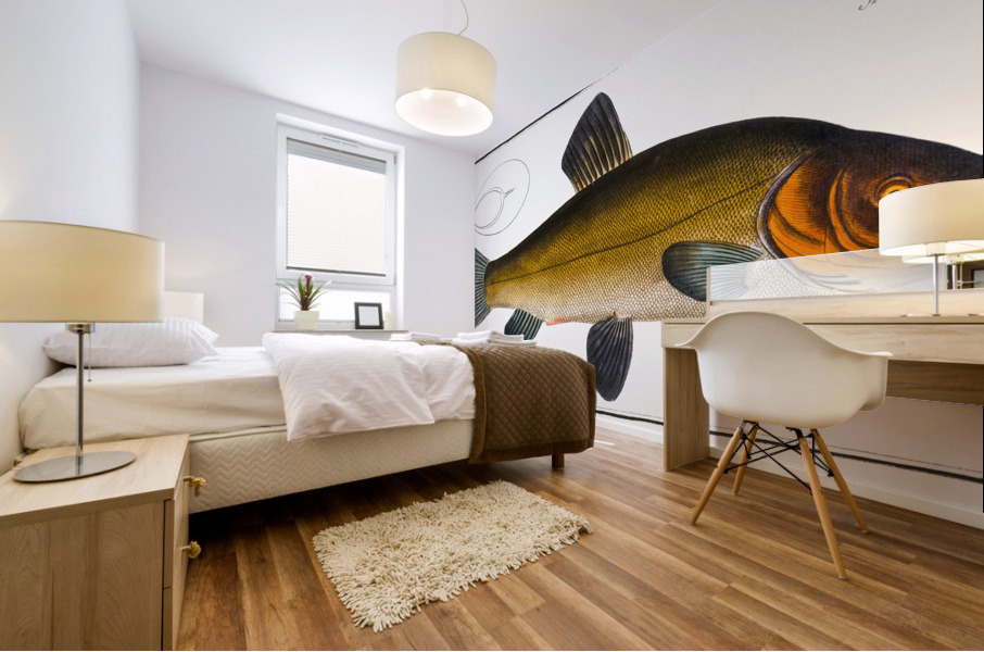 Tench Cypirnus Tinca Mural print