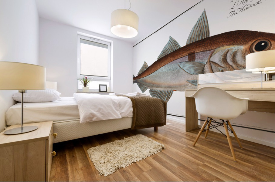 Hadock Gadus Aeglefinus Mural print