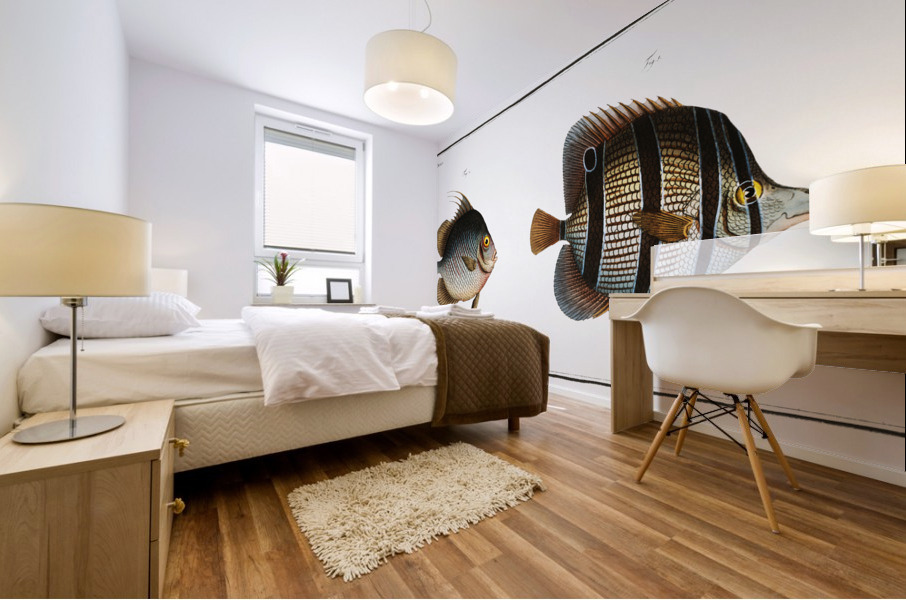 1. Chaetodon rostratus 2. Chaetodon Orbis Mural print