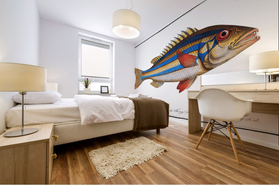 Blue-striped Gilt-head Sparus vittatus Mural print