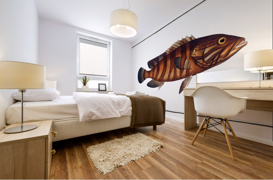 Boenack Bodianus Boenack Mural print