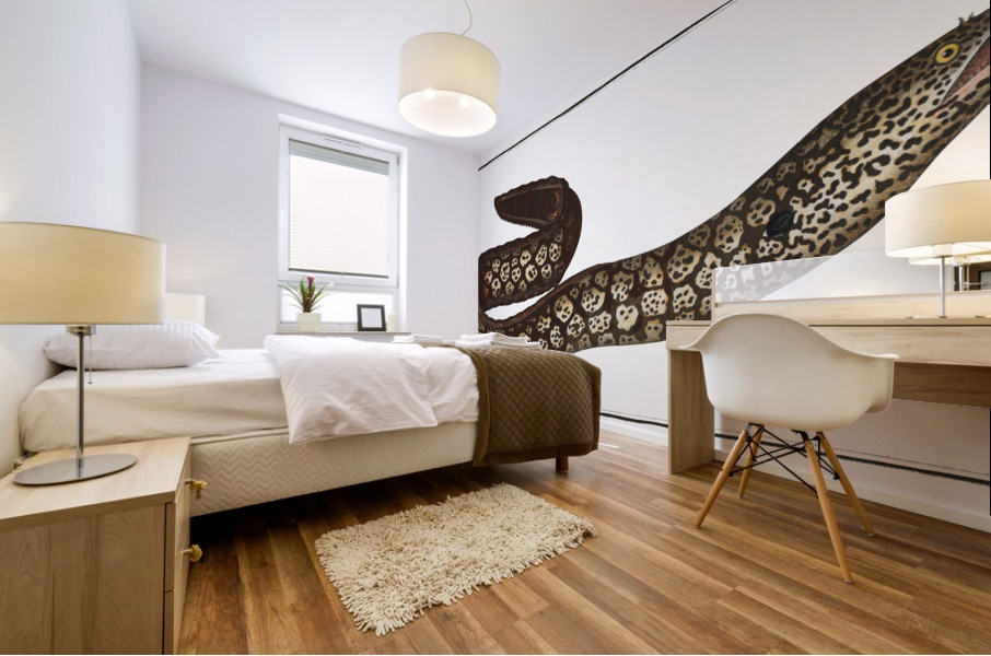 Murane Muraena Helena Mural print