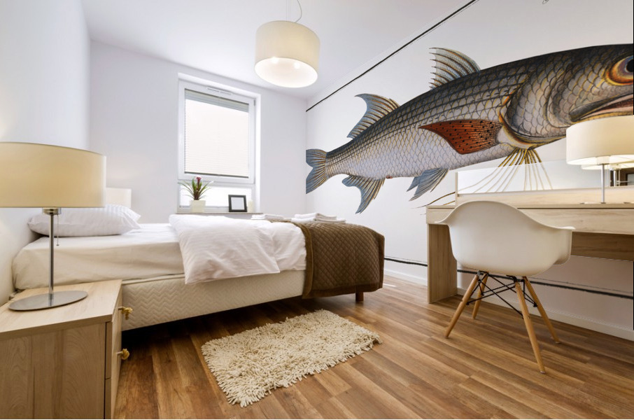 Kalamin Polynemus plebeius Mural print